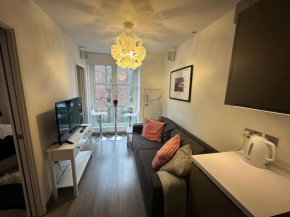Modern Flat in Camden Town